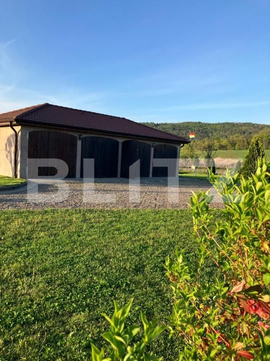 Casa de vânzare 4 camere Ceuasu de Câmpie - 150083CV | BLITZ Târgu Mureș | Poza21