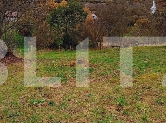 Teren de vânzare Budiu Mic - 150085TV | BLITZ Târgu Mureș | Poza1