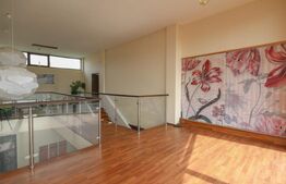 Villa deosebita, 5 camere, 400mp, cartierul Horgosa