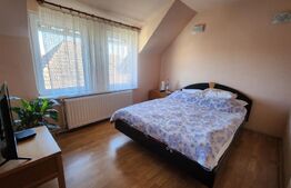 Casa cu 4 camere, 170 mp, Santana de Mures