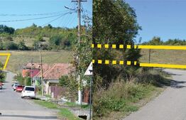 Teren intravilan, 1000 mp, Curteni