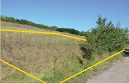 Teren intravilan, 1000 mp, Curteni