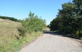 Teren intravilan, 1000 mp, Curteni