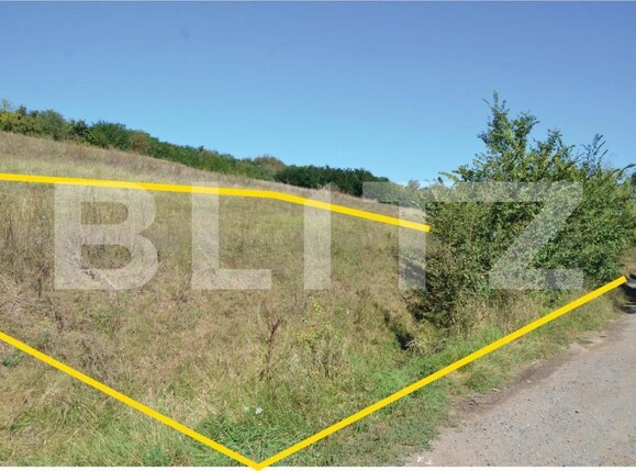 Teren de vânzare Sântana de Mureș - 150096TV | BLITZ Târgu Mureș | Poza4