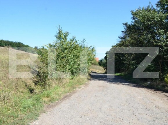 Teren de vânzare Sântana de Mureș - 150096TV | BLITZ Târgu Mureș | Poza7