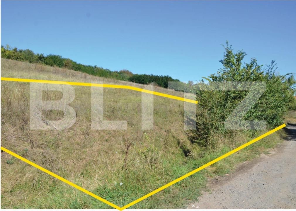 Teren de vânzare Sântana de Mureș - 150096TV | BLITZ Târgu Mureș | Poza4