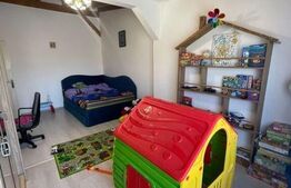 Casa cu 3 camere, 120 mp, zona Sintana de Mures