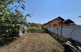 Proprietate de 460mp, 2800 mp teren,  camin sau pensiune, Sângeorgiu de Mures