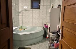 Proprietate de 460mp, 2800 mp teren,  camin sau pensiune, Sângeorgiu de Mures