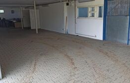 Hala industriala, 5 camere, 895mp, Sangeorgiu de Mures