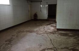 Hala industriala  895 mp, Sangeorgiu de Mures