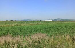 Teren intravilan, 5700 mp, zona Aeroportului