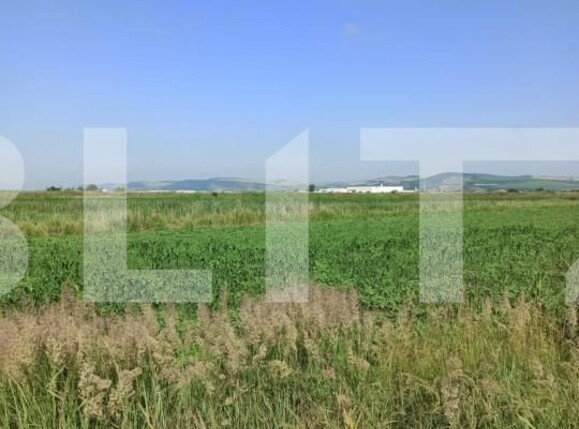 Teren de vânzare Ungheni - 150104TV | BLITZ Târgu Mureș | Poza4