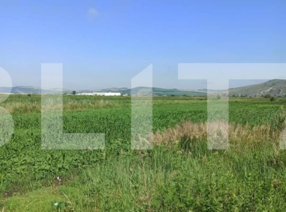 Teren de vânzare Ungheni - 150104TV | BLITZ Târgu Mureș | Poza2