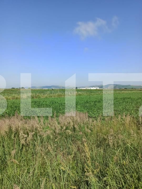 Teren de vânzare Ungheni - 150104TV | BLITZ Târgu Mureș | Poza4