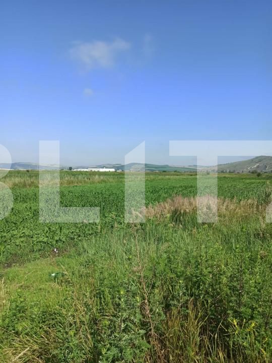 Teren de vânzare Ungheni - 150104TV | BLITZ Târgu Mureș | Poza2