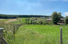 Teren intravilan,zona Budiu, 14600 mp