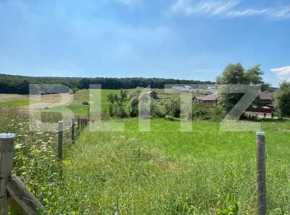 Teren de vânzare Budiu Mic - 150108TV | BLITZ Târgu Mureș | Poza3