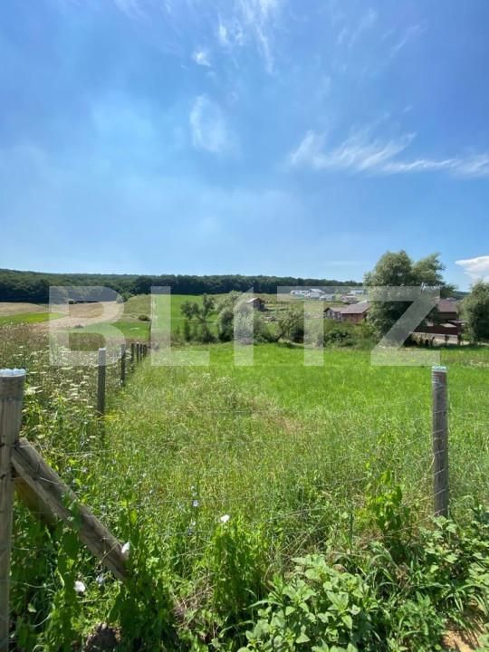 Teren de vânzare Budiu Mic - 150108TV | BLITZ Târgu Mureș | Poza3