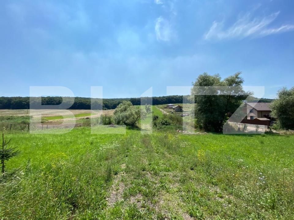 Teren de vânzare Budiu Mic - 150108TV | BLITZ Târgu Mureș | Poza2