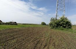 Teren intravilan de 2922 mp situat in Cristesti