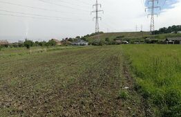 Teren intravilan de 2922 mp situat in Cristesti