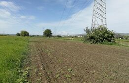 Teren intravilan de 2922 mp situat in Cristesti