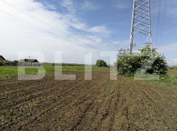 Teren de vânzare Cristești - 150454TV | BLITZ Târgu Mureș | Poza2