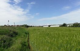 Teren intravilan Cristesti 6030 mp