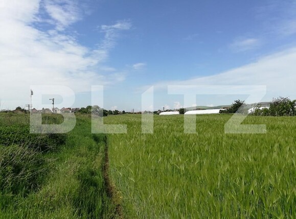 Teren de vânzare Cristești - 150455TV | BLITZ Târgu Mureș | Poza2