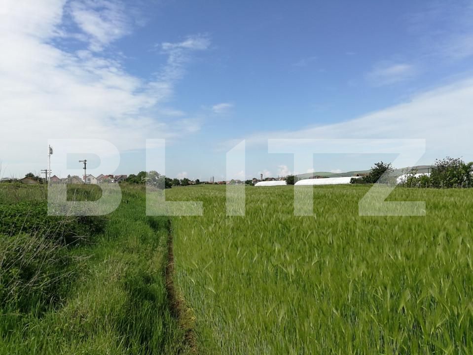 Teren de vânzare Cristești - 150455TV | BLITZ Târgu Mureș | Poza2