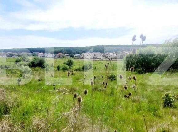 Teren de vânzare Corunca - 150948TV | BLITZ Târgu Mureș | Poza2