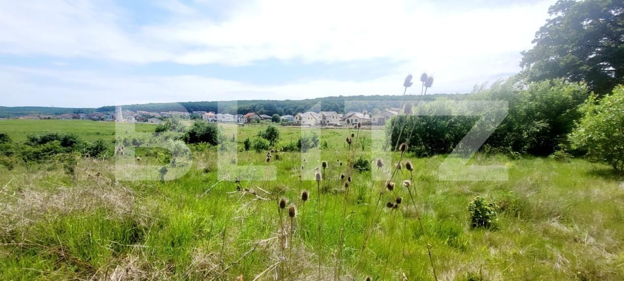 Teren de vânzare Corunca - 150948TV | BLITZ Târgu Mureș | Poza2