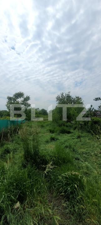 Casa de vânzare 5 camere Sâncraiu de Mureș - 150962CV | BLITZ Târgu Mureș | Poza5