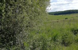 Teren intravilan 50 arii Tofalau Sat