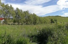 Teren intravilan 50 arii Tofalau Sat