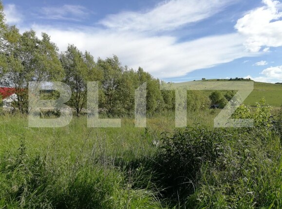 Teren de vânzare Sângeorgiu de Mureș - 151693TV | BLITZ Târgu Mureș | Poza1