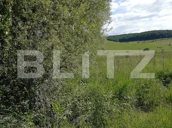 Teren de vânzare Sângeorgiu de Mureș - 151693TV | BLITZ Târgu Mureș | Poza2