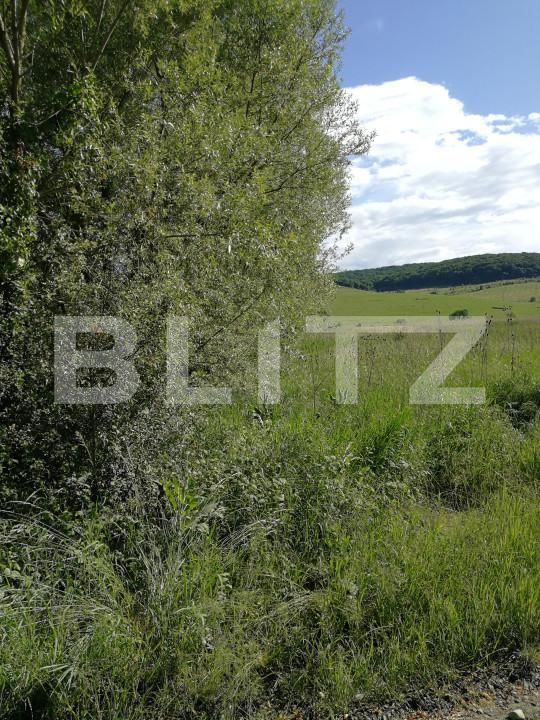 Teren de vânzare Sângeorgiu de Mureș - 151693TV | BLITZ Târgu Mureș | Poza2