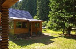 Cabana  cu teren 1364mp, zona Bucin