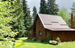 Cabana  cu teren 1364mp, zona Bucin