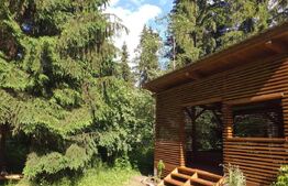 Cabana  cu teren 1364mp, zona Bucin