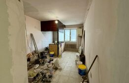 Apartament cu 2 camere, 50mp, Mureșeni 