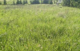 Teren intravilan Voiniceni 28 arii 