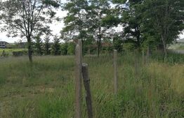 Teren intravilan Voiniceni 28 arii 