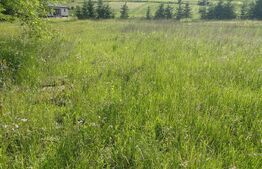 Teren intravilan Voiniceni 28 arii 