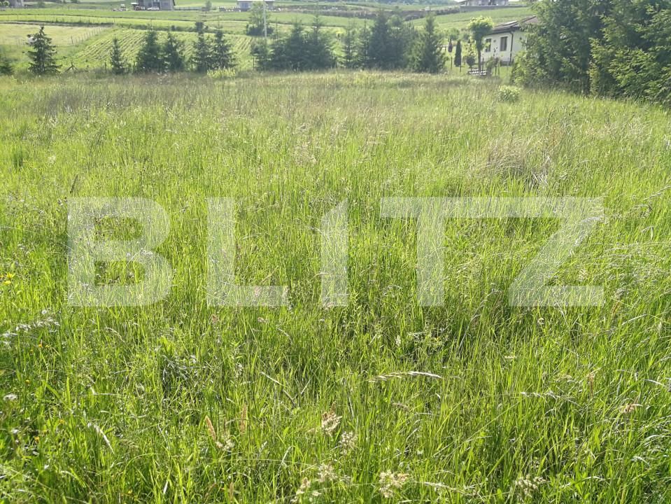 Teren de vânzare Voiniceni - 152300TV | BLITZ Târgu Mureș | Poza3