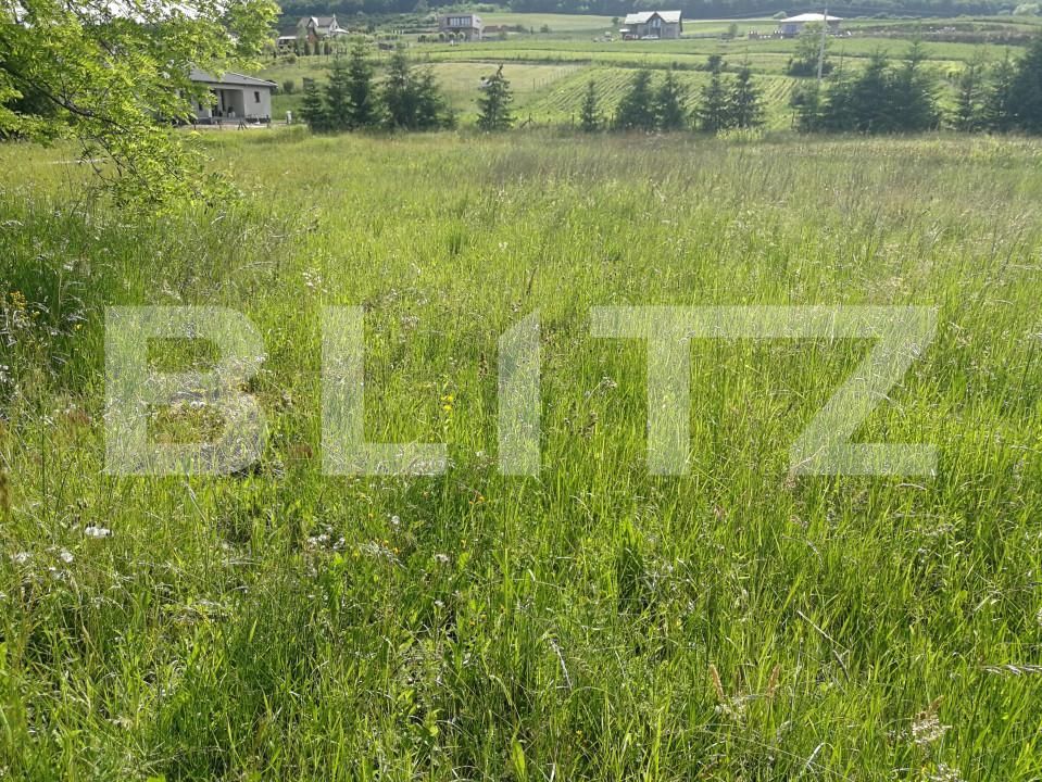 Teren de vânzare Voiniceni - 152300TV | BLITZ Târgu Mureș | Poza2