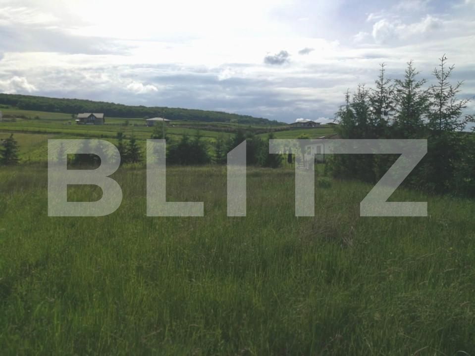 Teren de vânzare Voiniceni - 152300TV | BLITZ Târgu Mureș | Poza4