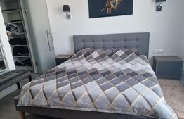 Apartament 2 camere, 70mp, pet friendly, Green Park Residence 